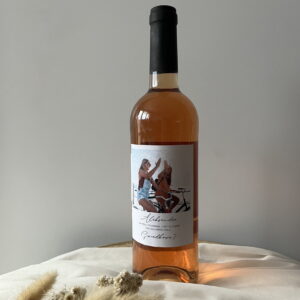 Naklejka prośba o świadkowanie na wino Polaroid